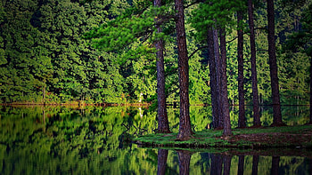 Landscape, Rivers, Trees HD wallpaper