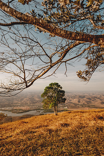 Landscape, Nature, Rivers, Mountains, Wood, Tree HD phone wallpaper