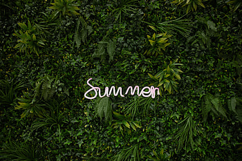 Plants, Summer, Words, Vegetation, Greens, Inscription HD wallpaper