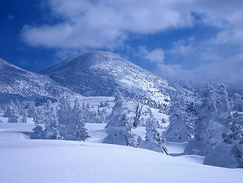 Nature, Trees, Mountains, Snow, Drifts, Shroud, Cover HD wallpaper