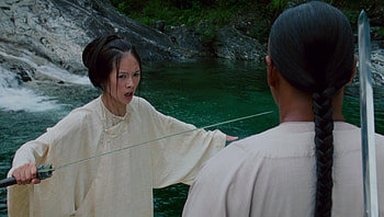 Crouching Tiger, Hidden Dragon (2022) movie HD wallpaper