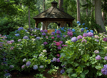 FLOWERS, NATURE, COLORS, GAZEBO HD wallpaper