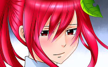 Erza Scarlet portrait, Fairy Tail , Pink hair, Manga HD wallpaper
