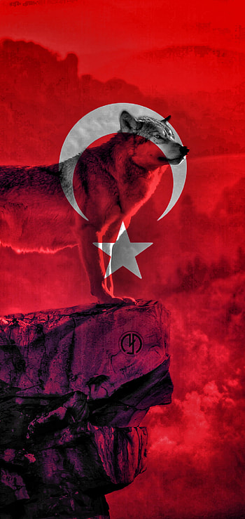 Turk bozkurt, wolf, android, design, bayrak, kirmizi, kurt HD phone wallpaper