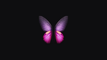 Samsung Galaxy Fold Butterfly, samsung-galaxy-fold, butterfly, samsung, stock, original, artist, digital-art, dark, black, oled HD wallpaper