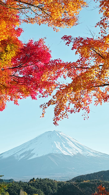 Autumn in Japan, Japan, nature, Mount Fuji HD phone wallpaper