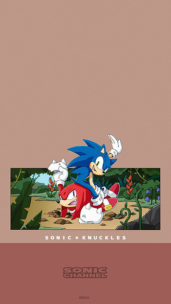 video game, Sonic the Hedgehog HD phone wallpaper