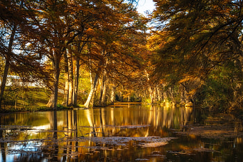 Texas Frio River in Autumn, Rivers, Nature, Autumn, Trees HD wallpaper