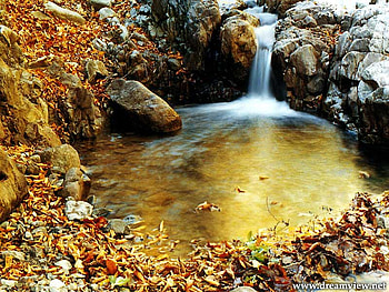 Lake in nature, lakes, leaves, yellow, colors, autumn, nature, watter, lake HD wallpaper