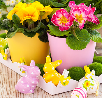Spring , pastel, halidays, Easter, colors, eggs, spring, celebration, bunny, flowers, harmony, event HD wallpaper