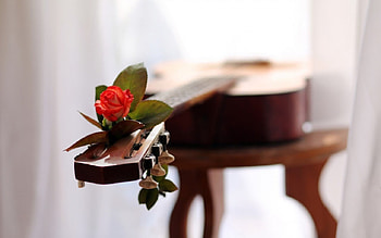 Guitar Rose, guitar, music, Rose, flower HD wallpaper
