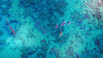 Avatar 2: The Way of Water -, ocean, water, Avatar: The Way of Water HD wallpaper