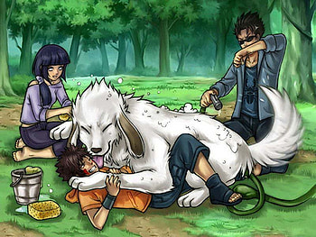 hinata-kiba-shino, anime, kiba, naruto, shino, nice bath, akamaru HD wallpaper