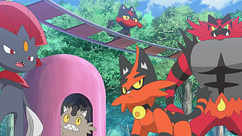 Pokémon Horizons - Lively Anime Showdown, Anime, Pokémon Horizons: The Series HD wallpaper