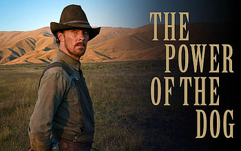 The Power of the Dog, Stream it or skip it, Movie HD wallpaper