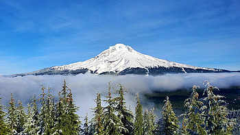 Mt. Hood, Oregon, fog, snow, volcano, trees, sky, usa HD wallpaper