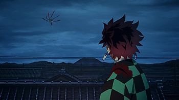 Tanjiro vs Daki, Daki (Demon Slayer), Tanjiro Kamado, Demon Slayer: Kimetsu no Yaiba, Anime HD wallpaper