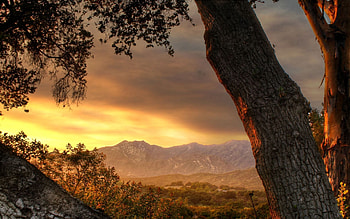 Nature, Trees, Sunset, Sky, Mountains, Evening, Trunks HD wallpaper
