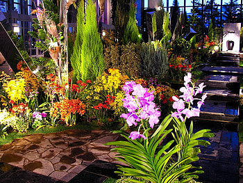 flowers garden, trees, nature, flowers, garden colors, beauty, nice HD wallpaper