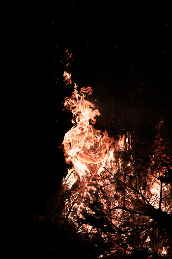 Fire, Bonfire, Dark, Flame, Branches HD phone wallpaper