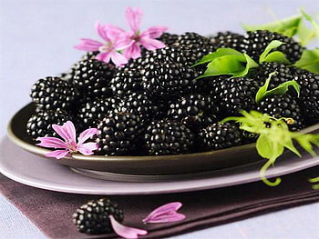 blackberry, fruit, pink, flower HD wallpaper