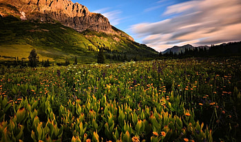 Beautiful Scenery, landscape, nature, flowers, mountain HD wallpaper