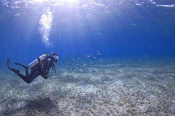 Unusual scuba diving myths, Deep blue dive center, Debunking misconceptions, Underwater adventure HD wallpaper