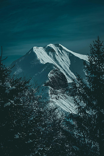 Nature, Mountains, Snow, Spruce, Fir, Slope HD phone wallpaper