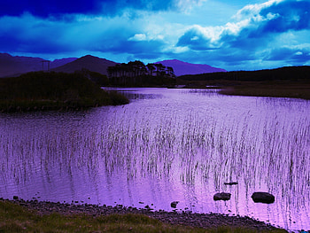 Nature, Water, Grass, Lake, Evening HD wallpaper