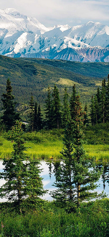 Alaska travels, Alaska ideas, Travel inspiration, Scenic wonders HD phone wallpaper