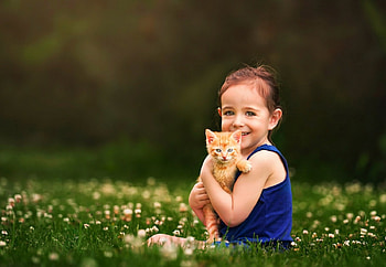 Cute Little Girl, girl, cat, flowers, animals HD wallpaper