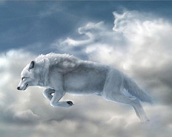 spirit, 14, 2011, , 10, wolf HD wallpaper