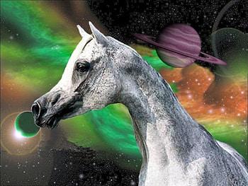 The Space Horse, horses, planets, arabians, space, nature HD wallpaper