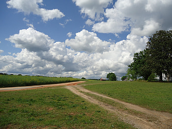 Landscape, Nature, Houses, Road, Field HD wallpaper