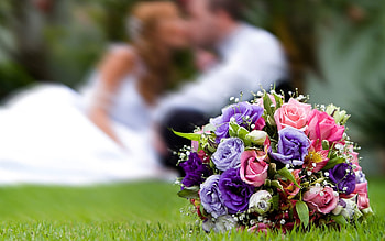 Holidays, Flowers, Roses, Bouquets, Wedding HD wallpaper