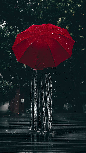 Umbrella, Rain HD phone wallpaper