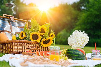 Best picnic baskets, Adventure essentials HD wallpaper