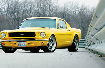 ford mustang, ford, american, mustang, tree HD wallpaper