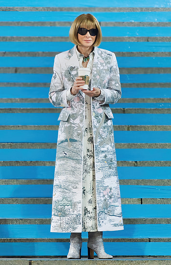 Anna Wintour, Celebs, Weird lunch, Vegetable-less HD phone wallpaper
