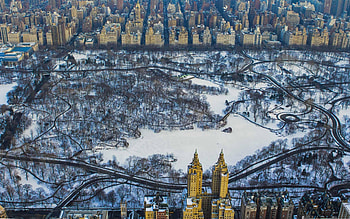 Central Park, Winter, City park HD wallpaper