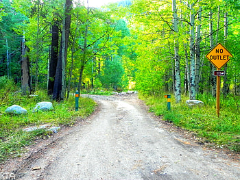 Dirt Road to the Cabins on the River, outside, sign, green, trees, road, nature HD wallpaper