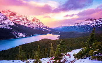 Peyto Lake, Canada, trees, landscape, clouds, colors, sky, forest, mountains, usa HD wallpaper