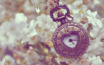 Flowers, Background, Miscellanea, Miscellaneous, Form, Pocket Watch HD wallpaper