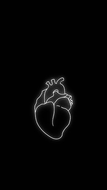 Fond écran pnl - HD phone wallpaper