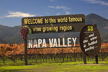 Best time to visit Napa Valley, Seasonal beauty, Wine country, Churchill Manor HD wallpaper