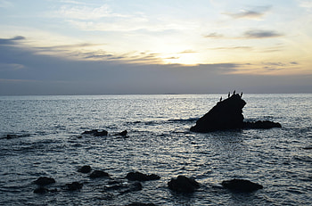 Nature, Birds, Sky, Sea, Rocks, Horizon HD wallpaper