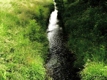River, nature, green HD wallpaper