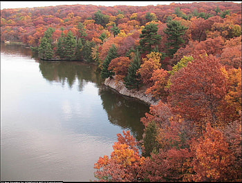 Autumn on the river, sesons, colours, beauty, trees, nature, water, forest, rivers, places HD wallpaper
