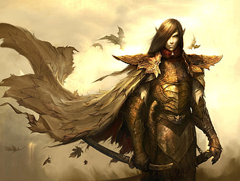 golden warrior, elfen, abstract, fantasy, gold, beauty, warrior HD wallpaper