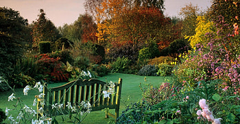 DREAM GARDEN, DREAMY, DAY, GARDEN, BENCH HD wallpaper